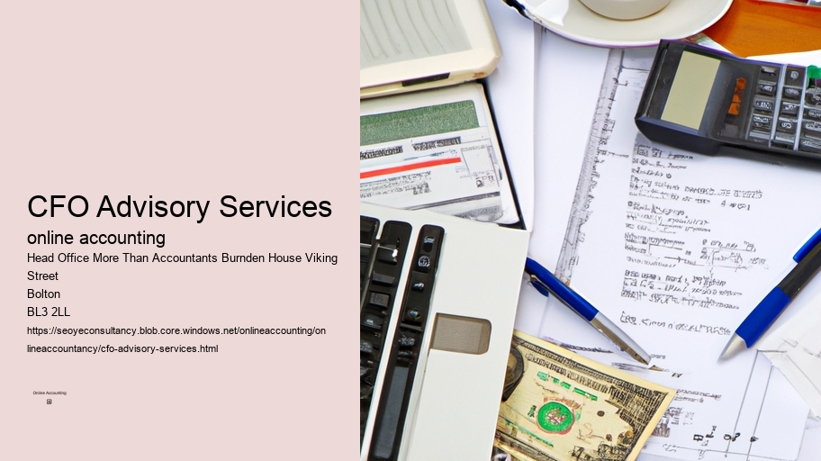 CFO Advisory Services