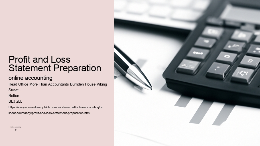 Profit and Loss Statement Preparation