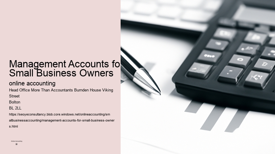 Management Accounts for Small Business Owners