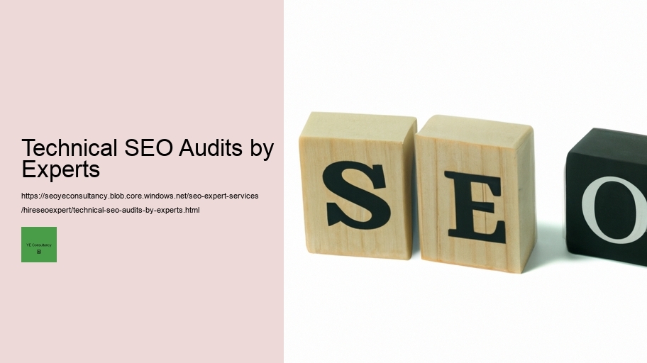 Technical SEO Audits by Experts