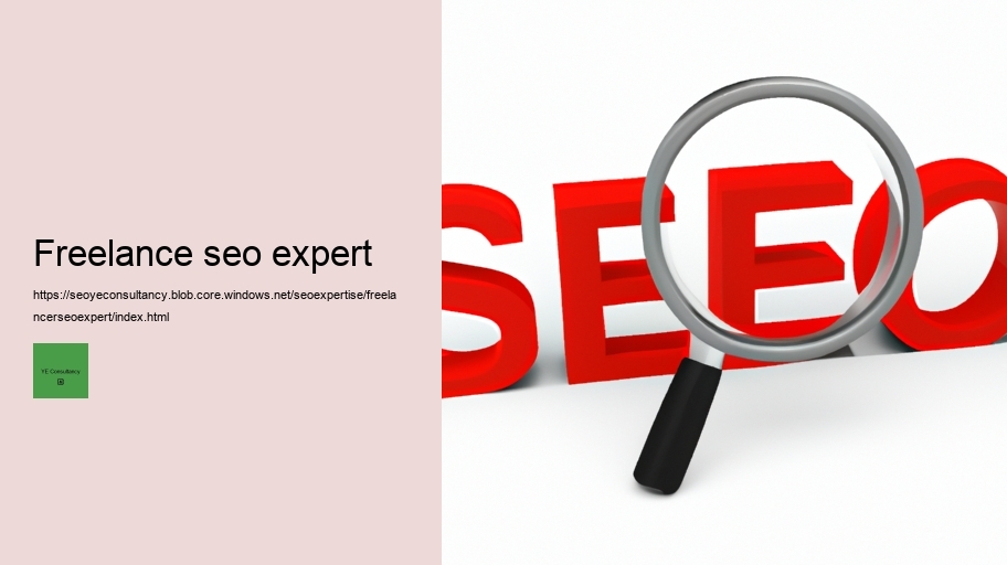 freelance seo expert